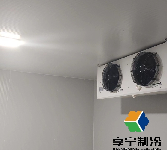 冷庫兩根銅管分別代表什么?蒸發器與冷凝器作用解析與選購指南 冷庫兩根銅管分別代表什么?蒸發器與冷凝器作用解析與選購指南