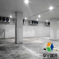 冷庫裝門的制作方法詳解：從選材到安裝的完整步驟與實用技巧