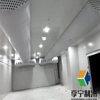 2匹冷庫加多少公斤氟？老師傅手把手教你算準用量不踩坑