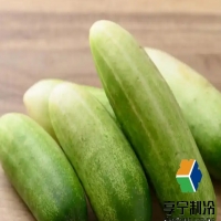 黃瓜冷庫儲存多長時間？看完這篇就懂了！