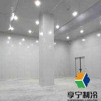 冷庫板拼接方式是什么?老師傅手把手教你選對工藝避坑指南 冷庫板拼接方式是什么?老師傅手把手教你選對工藝避坑指南