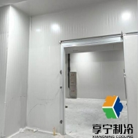 B1級冷庫板可以做掛鉤嗎？解析安裝技巧與注意事項