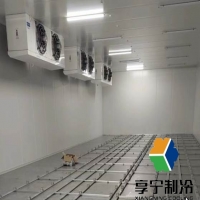 冷庫保鮮水果能保存多久?全面解析水果冷庫保鮮時長與實用技巧 冷庫保鮮水果能保存多久?全面解析水果冷庫保鮮時長與實用技巧