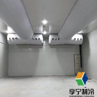 掛鉤板冷庫是b1還是b2好？解析防火等級差異與適用場景