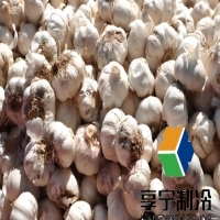 儲(chǔ)存大蒜的冷庫造價(jià)多少錢?看完這篇省下30%冤枉錢 儲(chǔ)存大蒜的冷庫造價(jià)多少錢?看完這篇省下30%冤枉錢